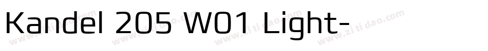 Kandel 205 W01 Light字体转换